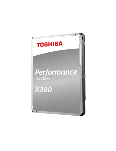 X300 Perfomance HD 10TB...