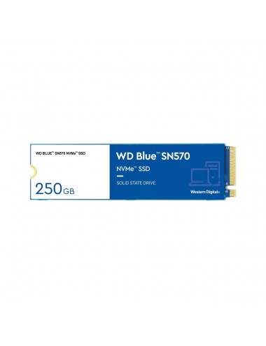 WD SSD Blue SN570 250GB...