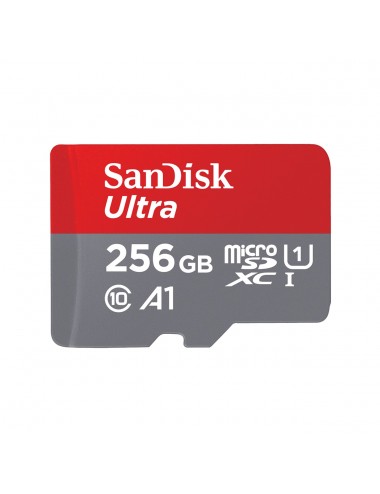 256GB SanDisk Ultra...