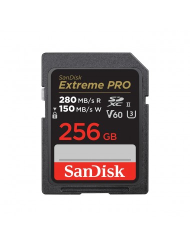 Extreme PRO 256GB V60...