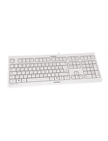 Keyboard JK-0800ES-0 KC...