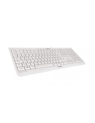 Keyboard JK-0800ES-0 KC...
