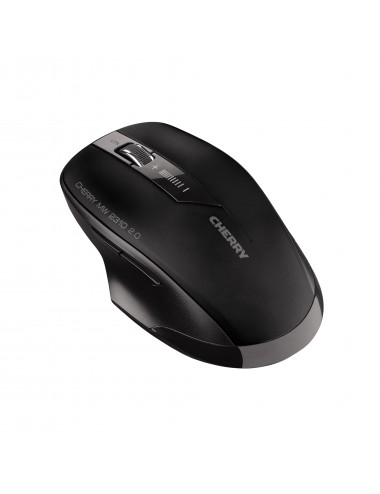 Wireless mouse 2310 2.0