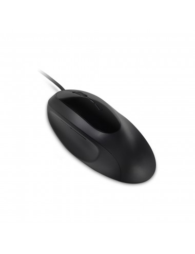 Kensington Pro Fit mouse