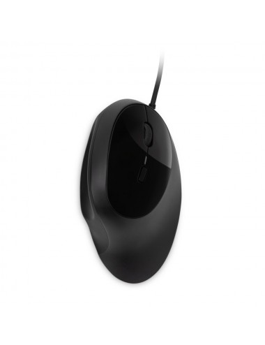 Kensington Pro Fit mouse