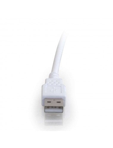 Cbl/2m USB A/A EXT