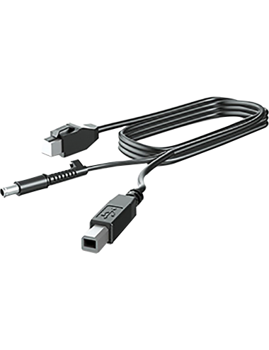 HP 300cm DP+USB PWR CABLE