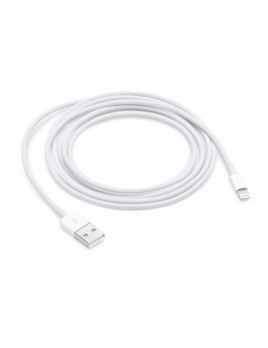 Lightning To USB Cable 2 M