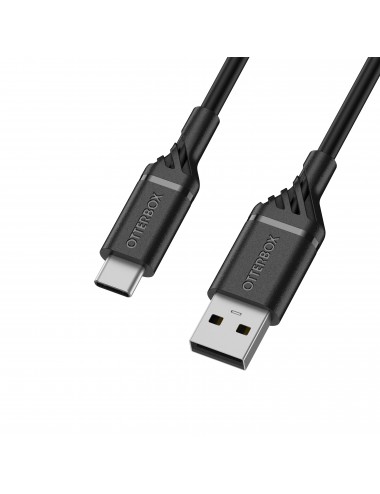 Cable USB A-C 2M Black