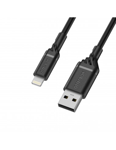 Cable USB A-Lightning 2M Black