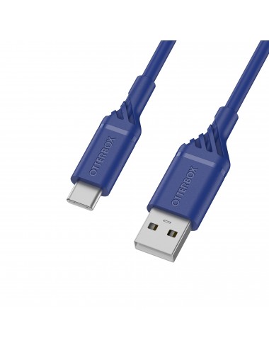 Cable USB A-C 1M Blue
