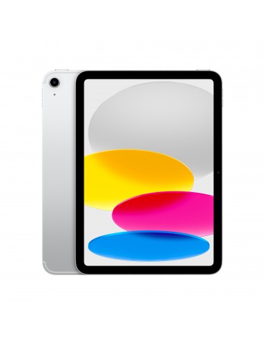 iPad Wi-Fi Cl 256GB Silver