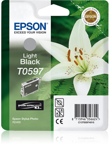 Epson Singlepack Light...