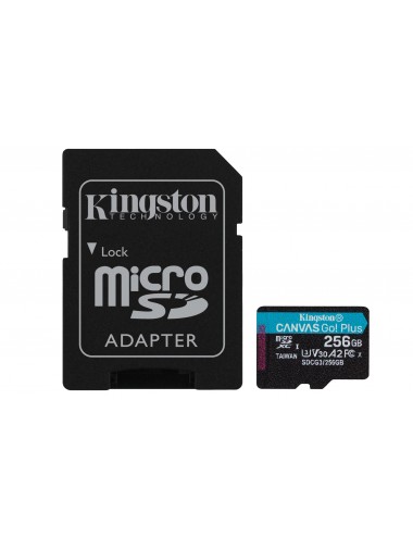 256GB microSD Canvas Go...