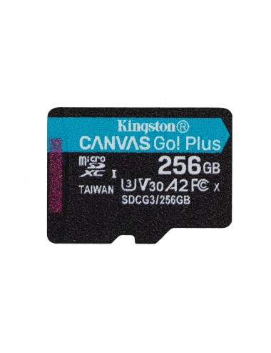 256GB microSD Canvas Go...