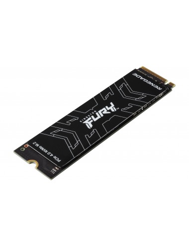 500G FURY Renegade PCIe 4.0...