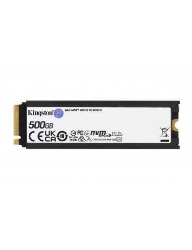 500G RENEGADE NVMe SSD...